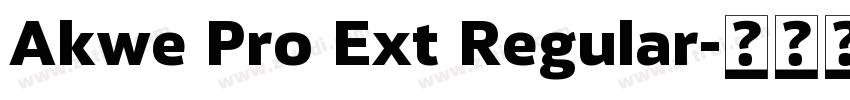 Akwe Pro Ext Regular字体转换